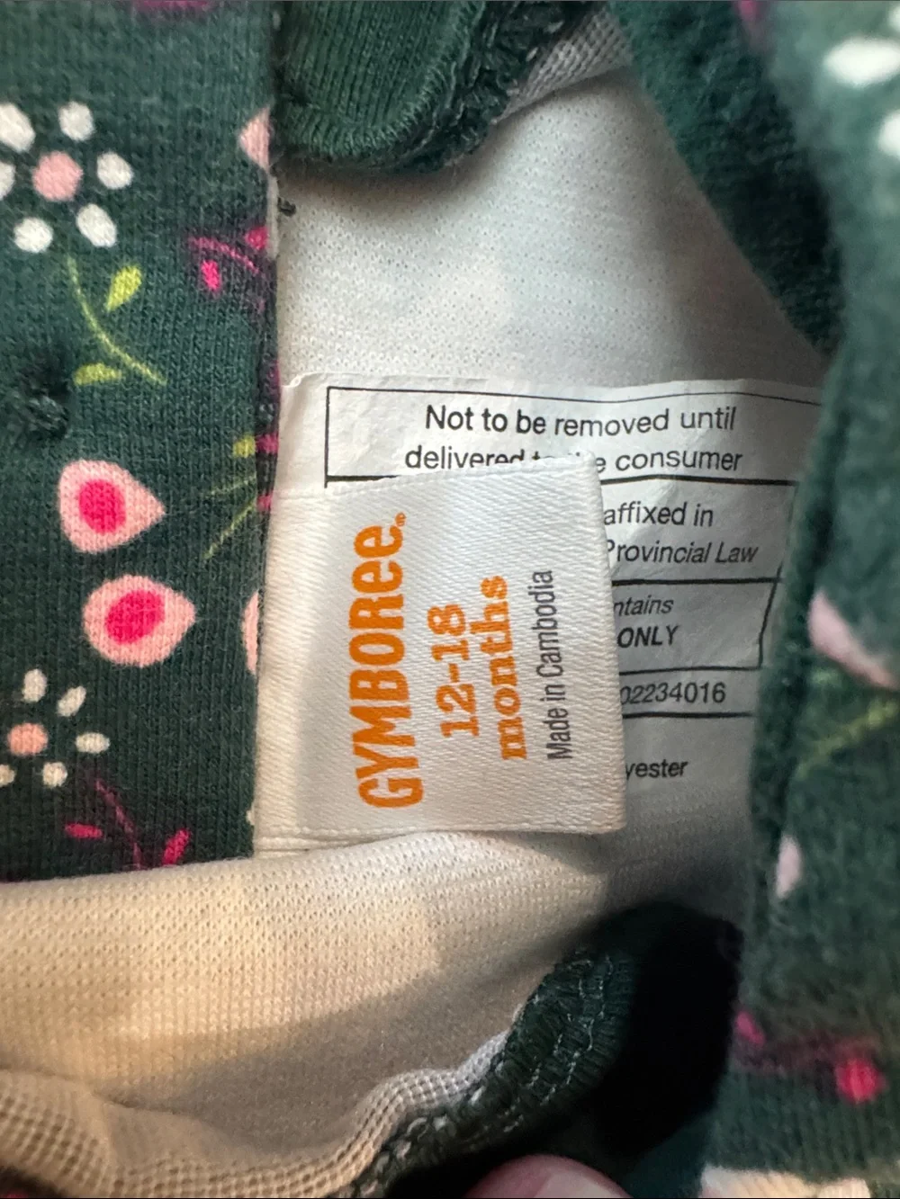 Gymboree Green Floral Dress with Pink Bow